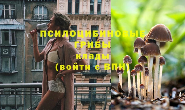 COCAINE Каменногорск