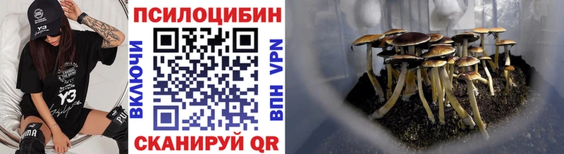 Купить закладки  Камышин  Галлюциногенные грибы прущие грибы 